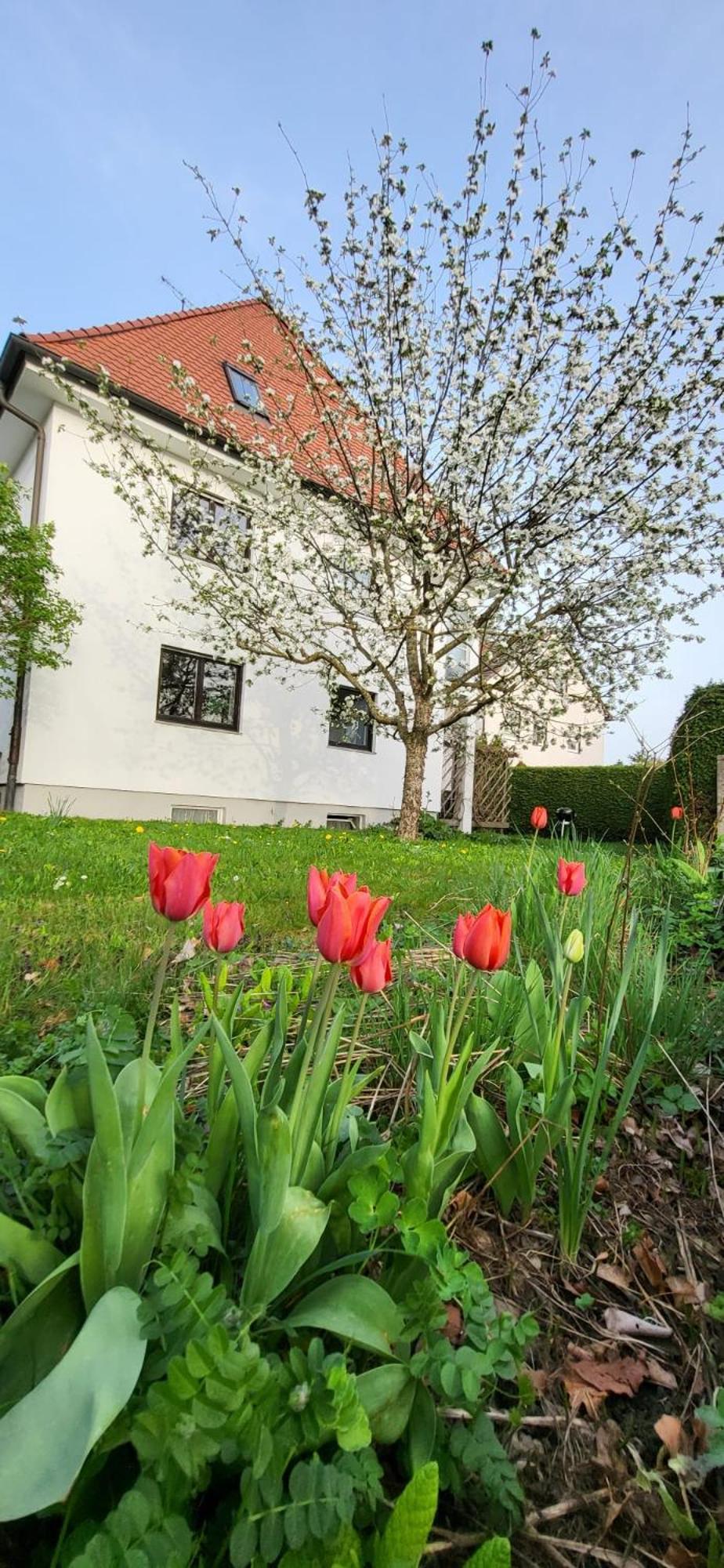 Allgaeu Retreat Bad Worishofen Luaran gambar